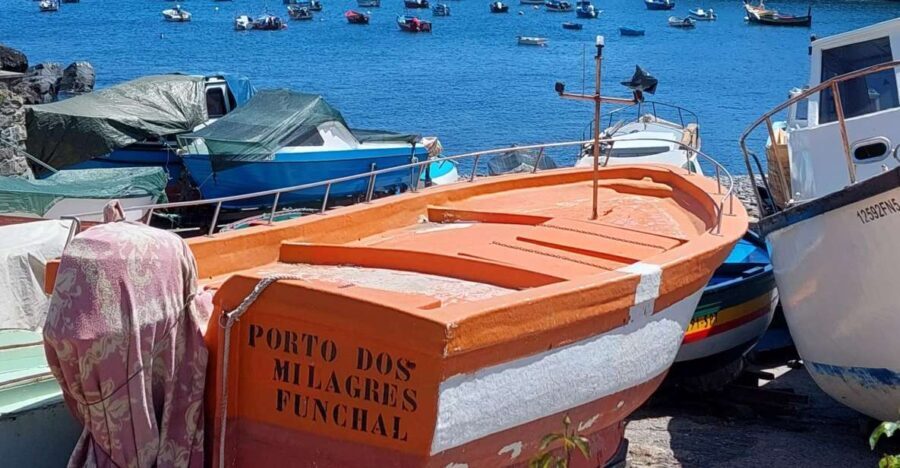 From Funchal: Eucalyptus Forest Guided 4x4 Tour - Starting from Funchal: Comfort and Convenience
