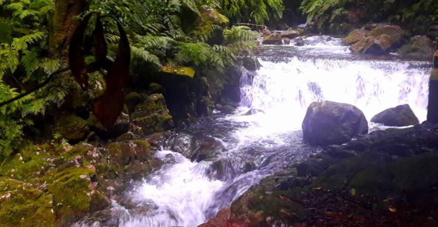 From Funchal: São Jorge Valleys Levada Walk - Authentic Experiences From Travelers