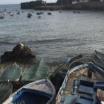 From Funchal: West Madeira and Laurel Forest Day Trip - Frequently Asked Questions