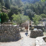 From Georgioupolis: Roundtrip Transfer to Samaria Gorge - An In-Depth Look at the Samaria Gorge Day Trip