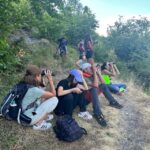 From Gijón, Oviedo or Pola de Somiedo: Brown Bear Spotting - A Closer Look at the Brown Bear Spotting Tour