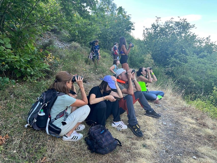 From Gijón, Oviedo or Pola de Somiedo: Brown Bear Spotting - A Closer Look at the Brown Bear Spotting Tour