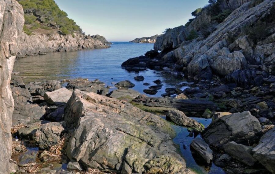 From Girona: Cadaqués, St Pere de Rodes Monastery - Who Will Love This Tour?