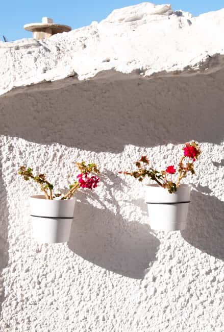 From Granada: Alpujarra Region Full Day Tour - How the Experience Adds Value