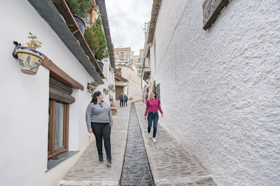 From Granada: Alpujarra Villages Guided Day Tour - Considerations