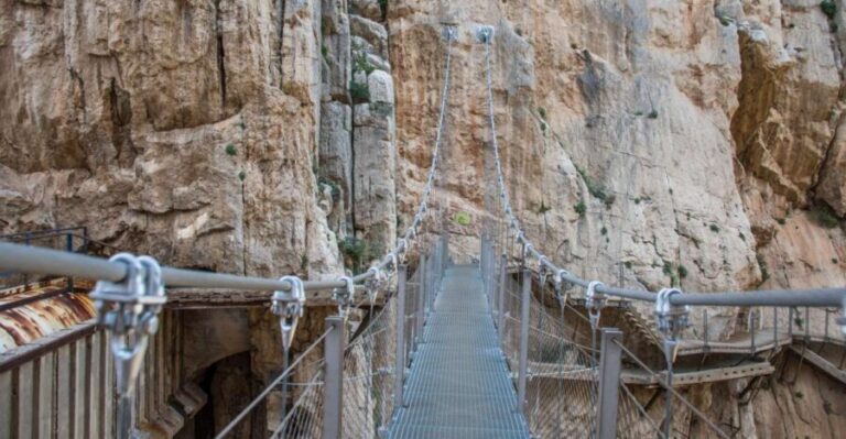 From Granada: Caminito Del Rey Day Trip - An In-Depth Look at the Caminito del Rey Day Trip