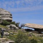 From Granada: Lobo Parque and Torcal de Antequera, Adventure Excursion - A Detailed Look at the Tour Experience