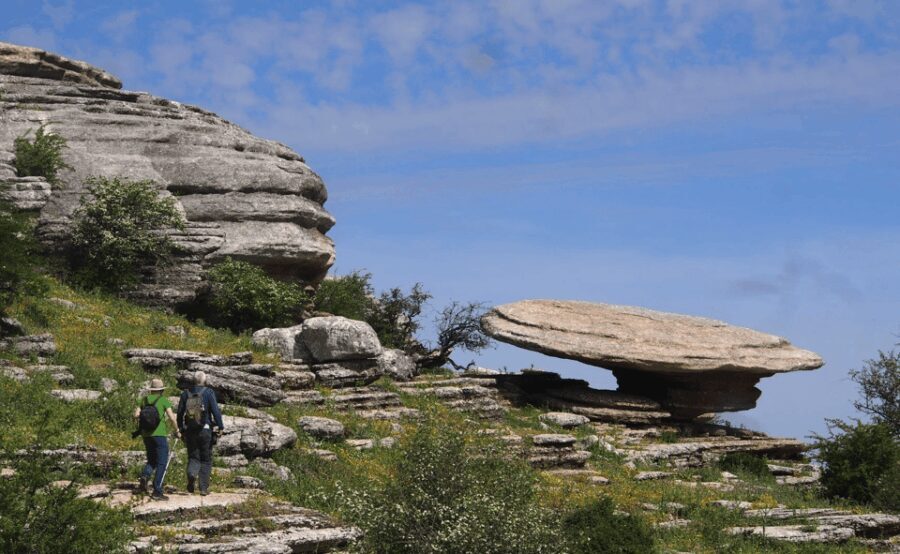 From Granada: Lobo Parque and Torcal de Antequera, Adventure Excursion - A Detailed Look at the Tour Experience