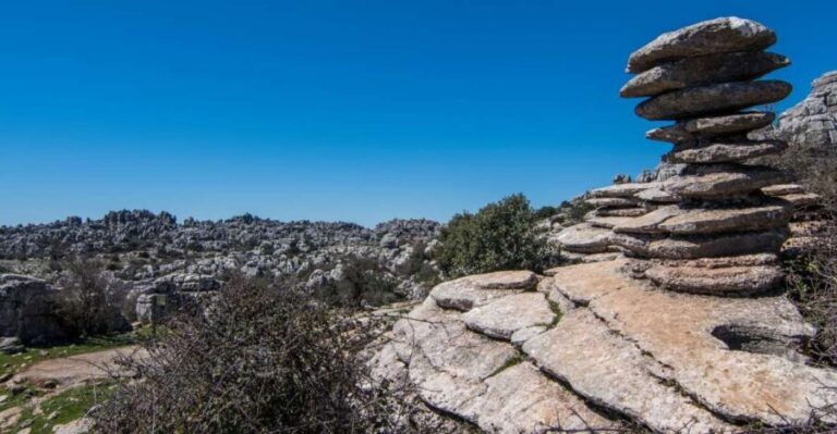 From Granada: Torcal & Antequera Dolmens Archaeological Tour - Exploring the Heart of Andalusia: What You Can Expect