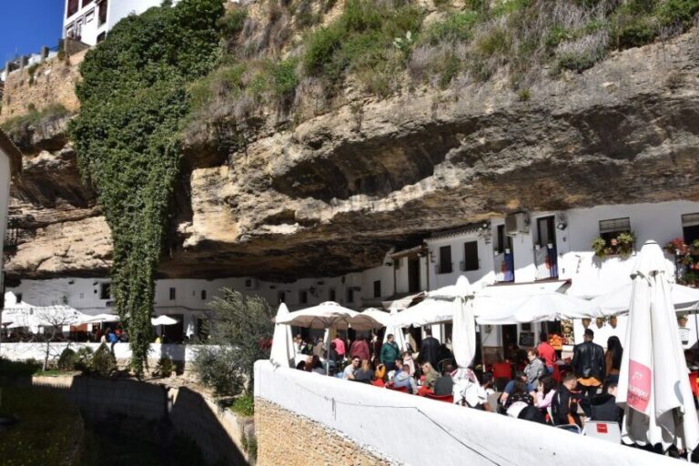 From Granada: Tour to Ronda and Setenil de Las Bodegas - Who Should Consider This Tour?