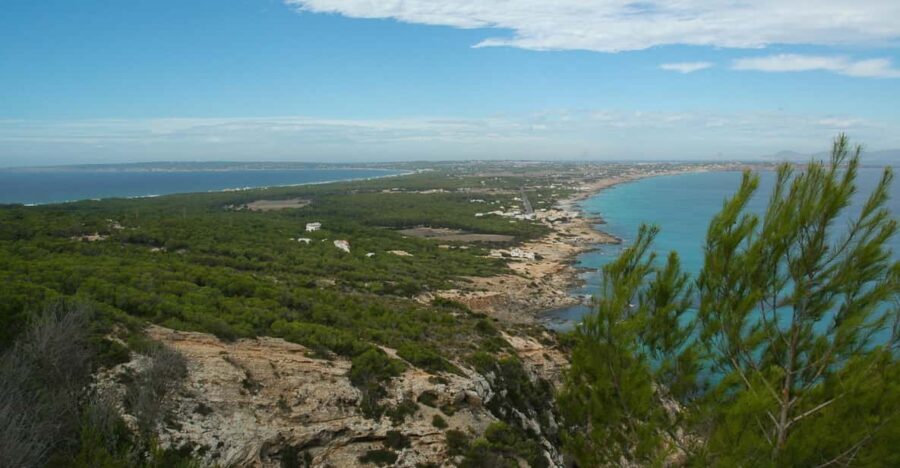 From Ibiza: Ferry and Guided Bus Excursion in Formentera - What Makes This Tour Stand Out