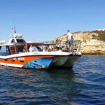 From Lagos: Dolphin Watching Catamaran Cruise - Final Thoughts: Is This Tour Worth It?