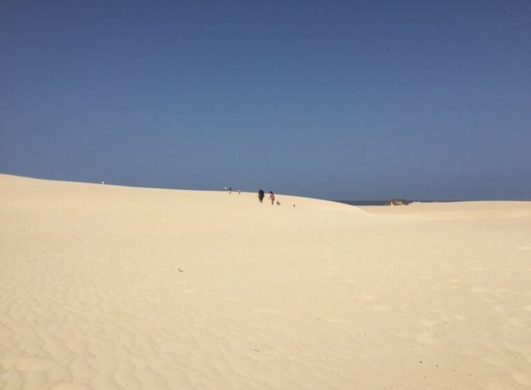 From Lanzarote: Fuerteventura Day Trip - What to Expect and Practical Tips
