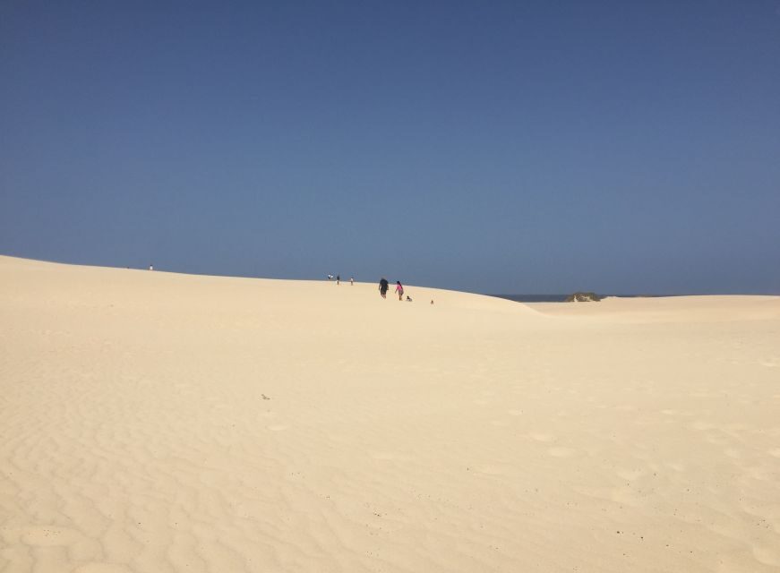 From Lanzarote: Fuerteventura Day Trip - What to Expect and Practical Tips
