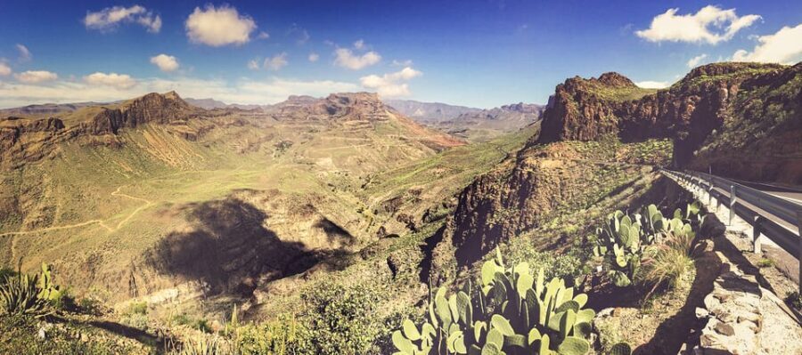 From Las Palmas: Fataga, Aloe Vera Farm, and Puerto de Mogán Market - Why This Tour Is Worth Considering