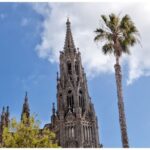 From Las Palmas: Full-Day Tour of the North - Final Thoughts