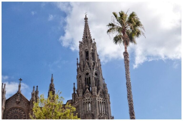 From Las Palmas: Full-Day Tour of the North - Final Thoughts