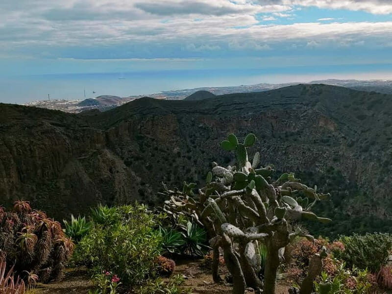 From Las Palmas: Half day tour Volcano Bandama & Vineyard