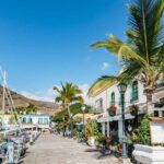 From Las Palmas: Highlights of Gran Canaria Day Tour - The Sum Up