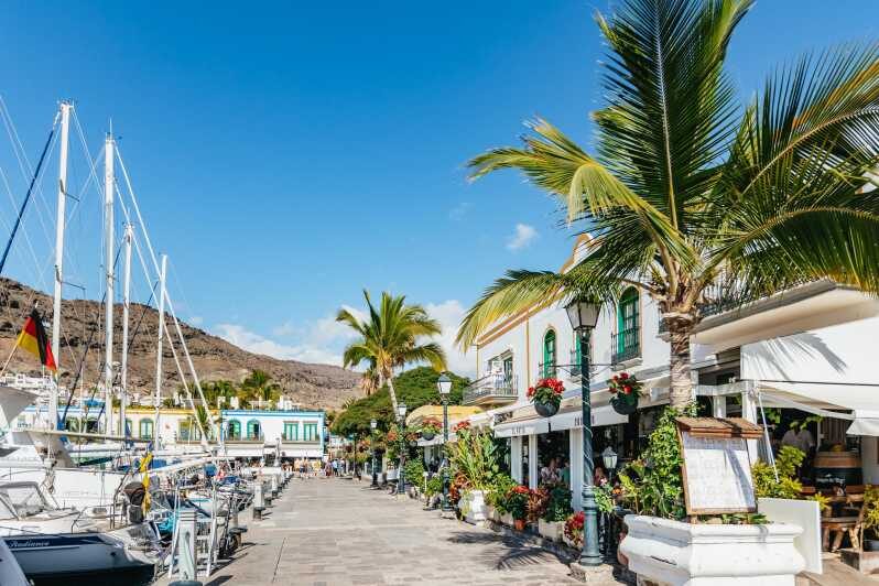 From Las Palmas: Highlights of Gran Canaria Day Tour - The Sum Up