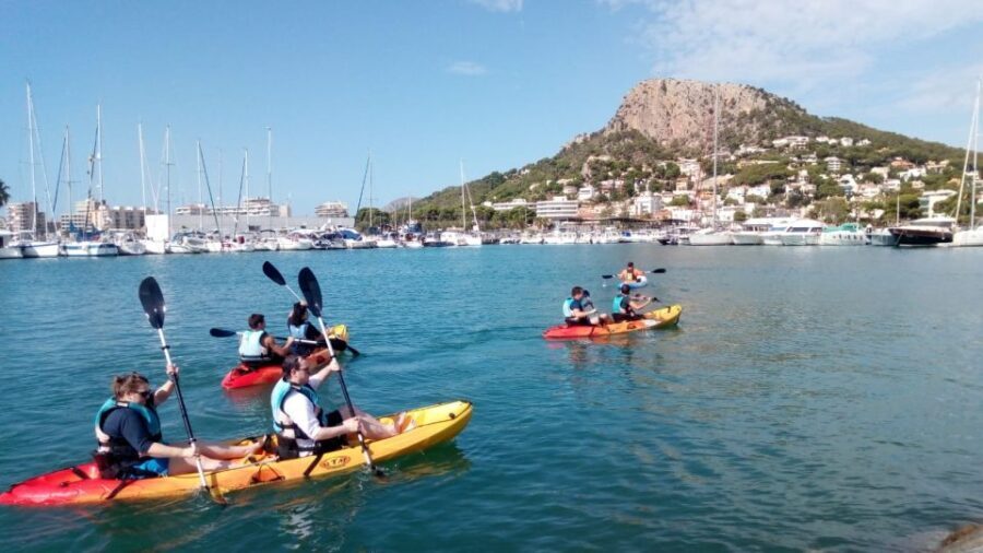 From L'Estartit: Sea Kayaking Tour to the Medes Islands - The Marine Reserve: Why It Matters