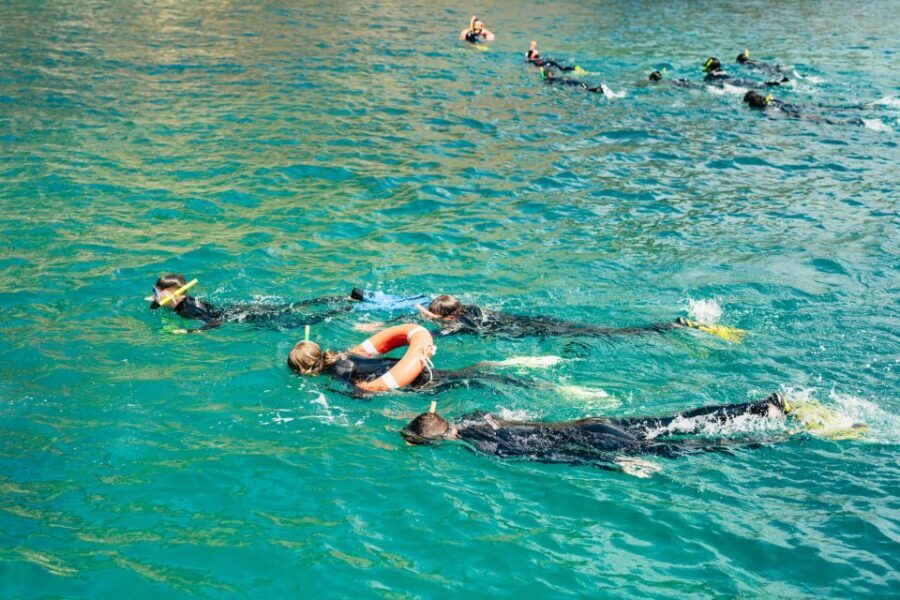 From LEstartit: Snorkeling Trip to the Medes Islands - Why Choose This Snorkeling Trip?