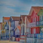 From Lisbon: Aveiro and Coimbra Private Tour - Who Will Love This Tour?