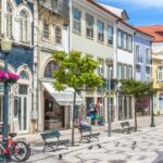 From Lisbon: Aveiro, Boat Ride, Costa Nova & Coimbra Private - Practical Details and Why They Matter