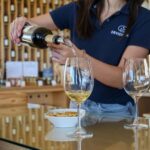From Lisbon: Évora, Chapel of Bones & Alentejo Wine Tour - The Itinerary: What to Expect from a Day in Évora and Alentejo