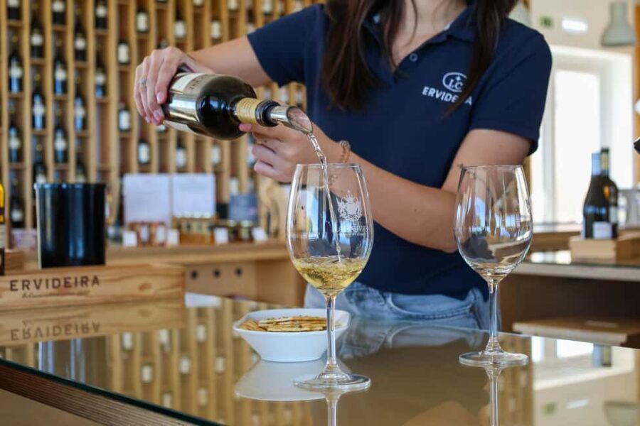 From Lisbon: Évora, Chapel of Bones & Alentejo Wine Tour - The Itinerary: What to Expect from a Day in Évora and Alentejo