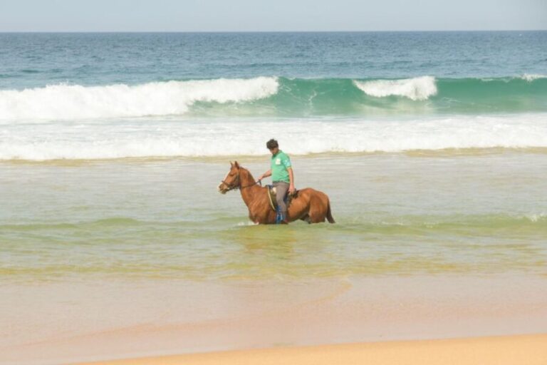 From Lisbon: Horseback Riding on Comporta Beach - Who Will Love This Experience?