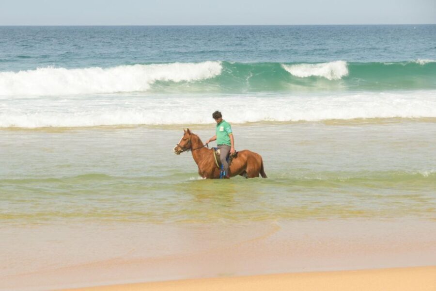 From Lisbon: Horseback Riding on Comporta Beach - Who Will Love This Experience?