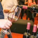 From Lisbon to Evora with Visits and Wine Tasting Guided Tour - Authenticity and Experience
