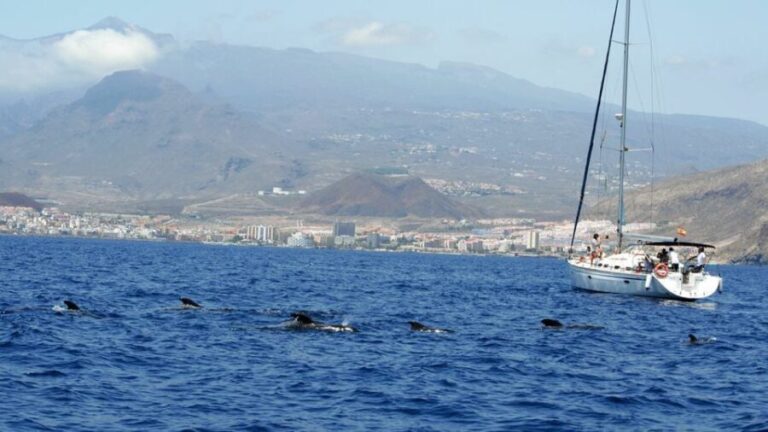 From Los Gigantes: Whale Watching Sailboat Cruise - A Deeper Look at the Whale Watching Journey