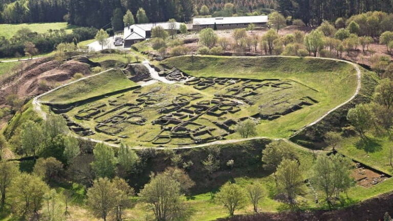 From Lugo: Half-day excursion to the Viladonga Hillfort - Who Would Enjoy This Tour?