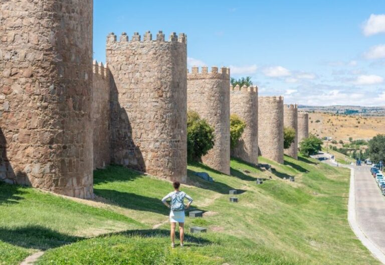 From Madrid: Day Trip to Ávila and Salamanca w/ Guided Tour - Who Should Consider This Tour?
