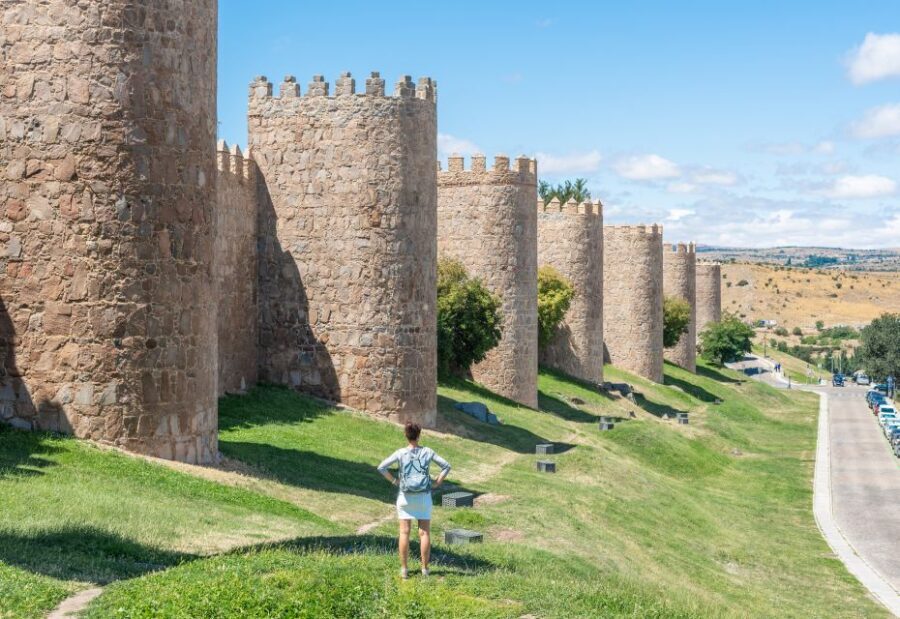 From Madrid: Day Trip to Ávila and Salamanca w/ Guided Tour - Who Should Consider This Tour?