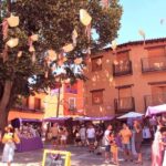From Madrid: Day Trip to Brihuega Lavender Fields - Final Thoughts