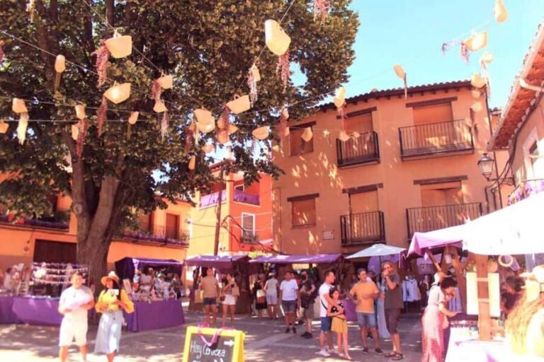 From Madrid: Day Trip to Brihuega Lavender Fields - Final Thoughts