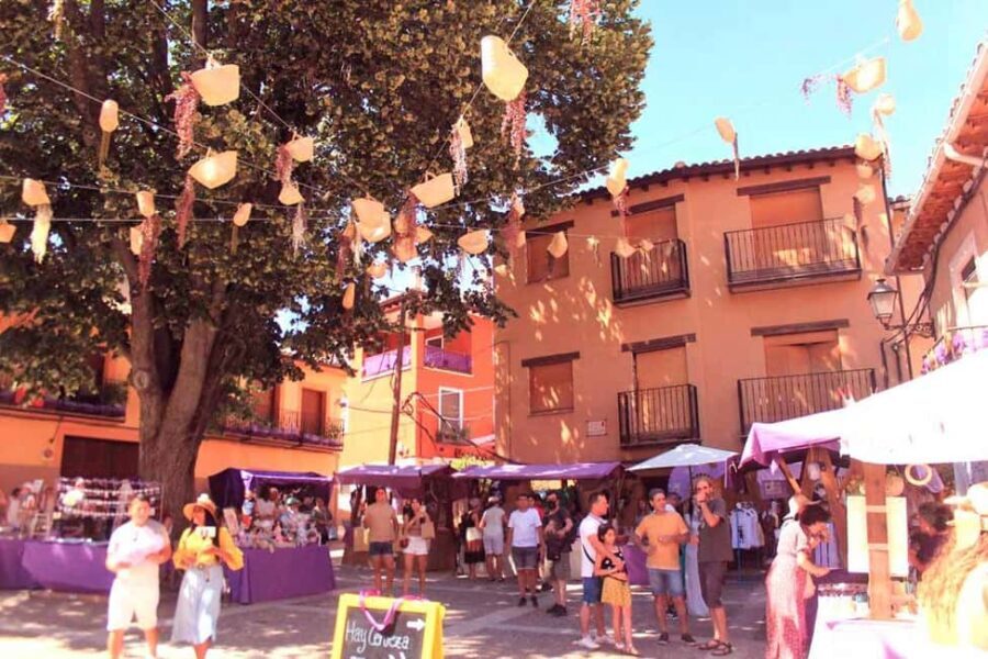 From Madrid: Day Trip to Brihuega Lavender Fields - Final Thoughts