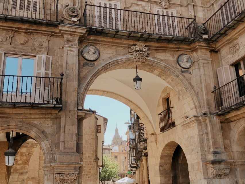From Madrid: Day Trip to Salamanca with Private Tour - A Closer Look at the Experience