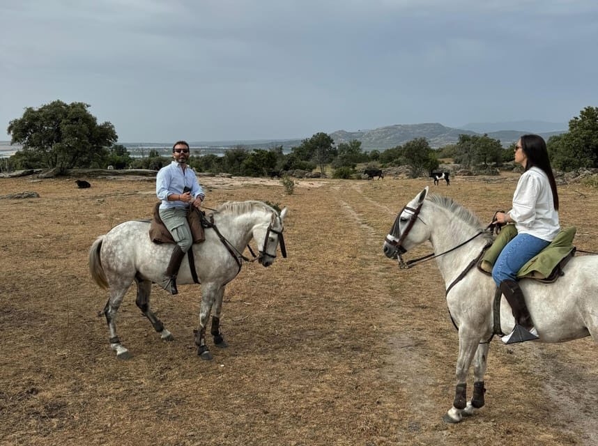 From Madrid: Horseback riding Experience - An In-Depth Look at the Madrid Horseback Riding Tour