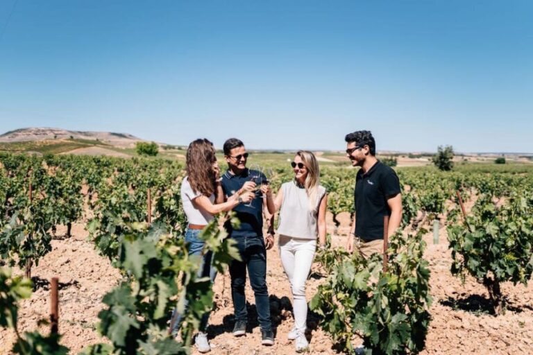 From Madrid: Ribera del Duero Winery and Segovia Tour - An In-Depth Look at the Experience