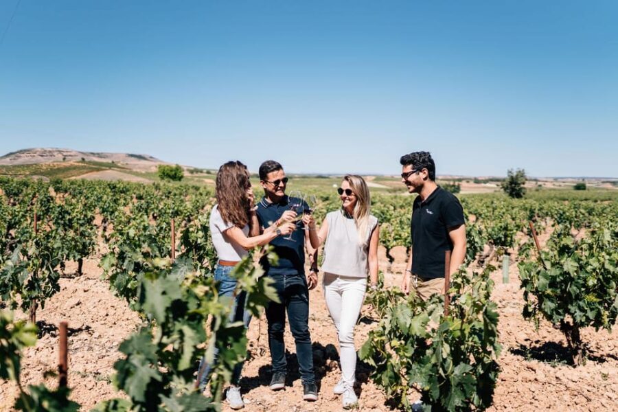 From Madrid: Ribera del Duero Winery and Segovia Tour - An In-Depth Look at the Experience