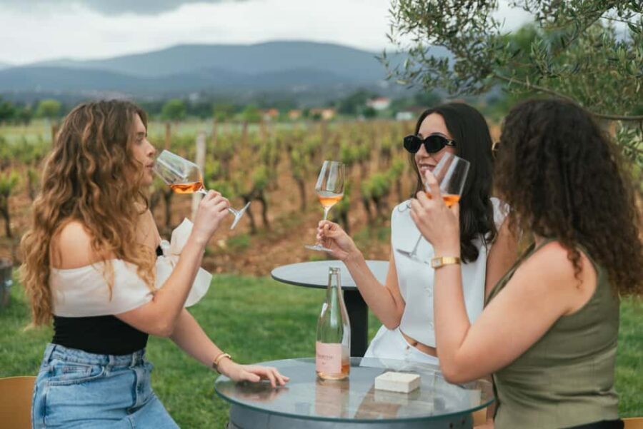 From Makarska Riviera : Wine Tasting Grabovac Tour