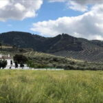 From Malaga: Antequera Heritage and Oil Mill land - Discovering Antequera: A City of Heritage