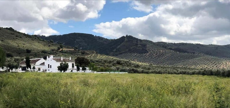 From Malaga: Antequera Heritage and Oil Mill land - Discovering Antequera: A City of Heritage