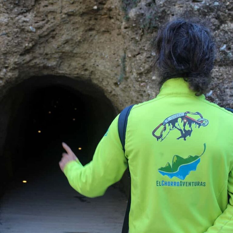 From Malaga: Caminito del Rey all included - The Complete Experience: What You Can Expect