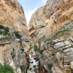 From Málaga: Caminito del Rey Guided Day Trip - The Itinerary Breakdown