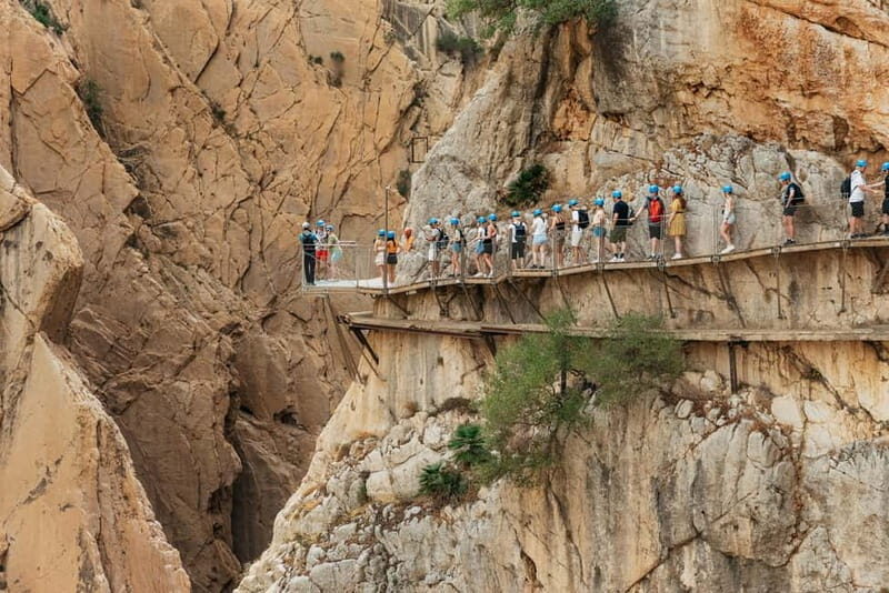 From Málaga & Costa del Sol: Caminito del Rey Guided Tour - The Value of the Tour